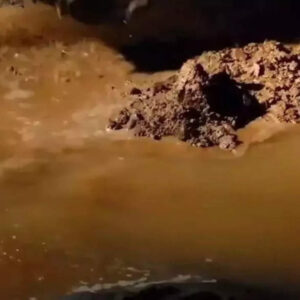 Search Engine Optimization: Heavy extreme rains continue in southern districts of Tamil Nadu