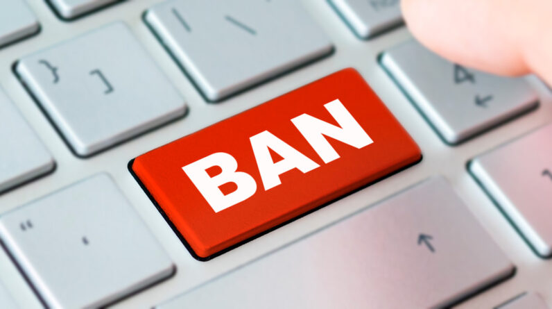 Google updates spam and classification systems guide