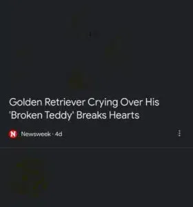 Broken Google Search home page on Android devices with Firefox