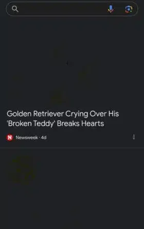 Broken Google Search home page on Android devices with Firefox