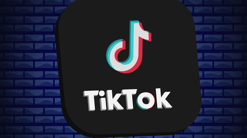 TikTok is gaining traction as a search engine among Gen Z [STUDY]