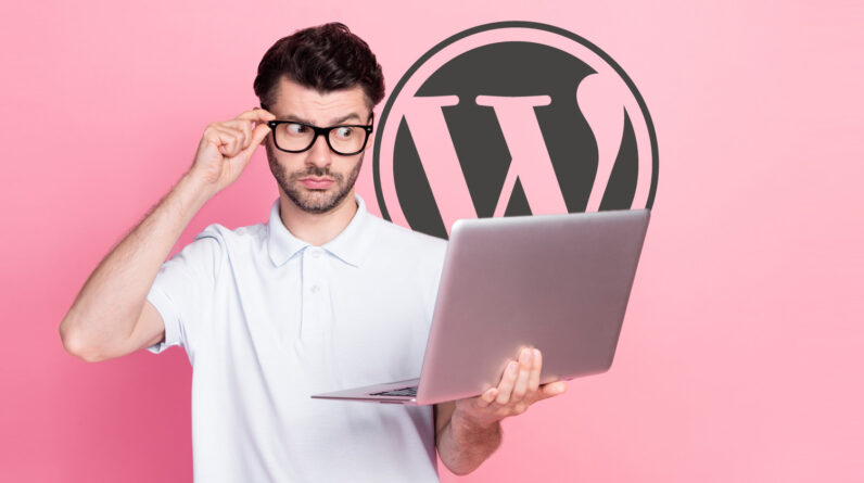 The security version of WordPress 6.4.3 fixes two vulnerabilities