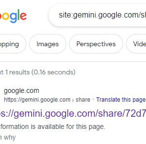 Why Google Gemini "leaked" chat data?