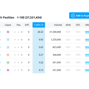 SEO Basics in 2024 - Forbes Advisor