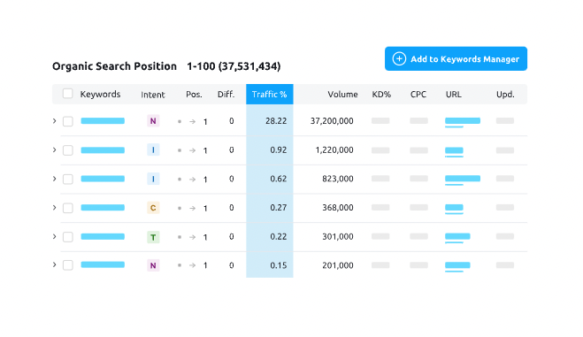 SEO Basics in 2024 - Forbes Advisor