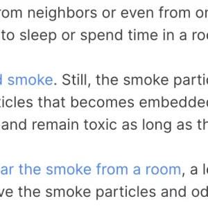 Baby Trash Google Logo 1920