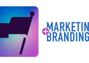 How to leverage SEO, drive organic traffic and outrank the competition