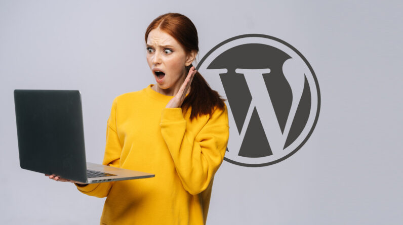 WordPress Site Builder Plugin Accused of Adding a 'Backdoor'