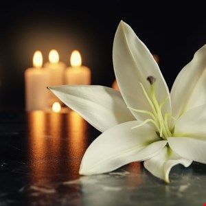 Fake obituary sites send mourners to porn and Spanish pages