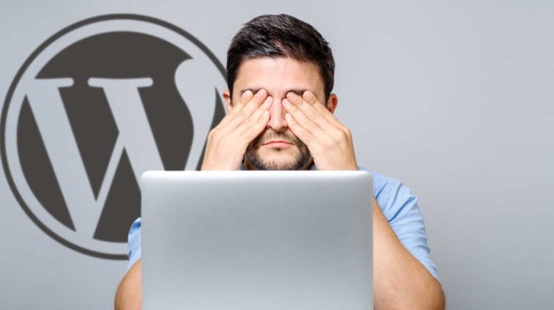 Data confirms an increase in WordPress vulnerabilities