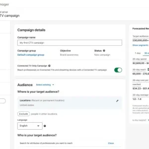 LinkedIn CTV Campaign Setup April 2024