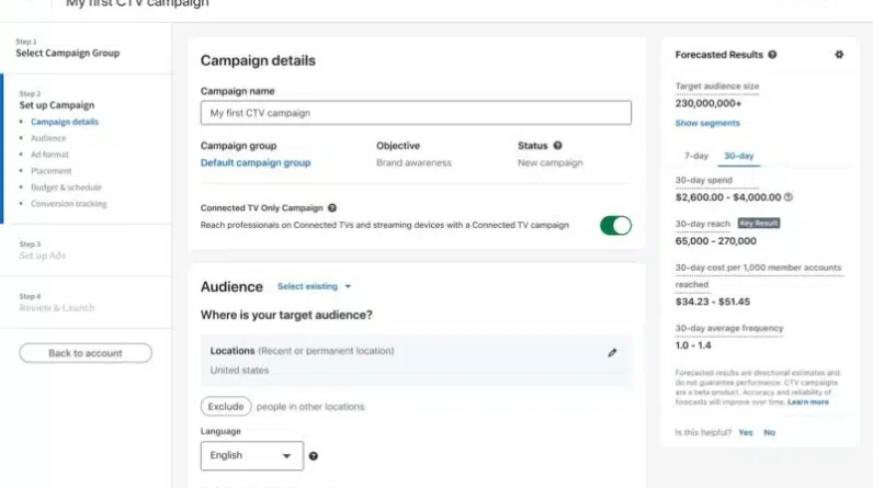 LinkedIn CTV Campaign Setup April 2024