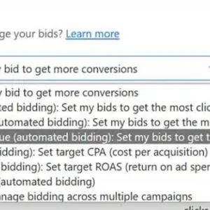 Microsoft extends maximum conversion value to more campaigns