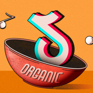 Media Buying Briefing: How Influencer Agencies Adapt to TikTok's SEO Incentives