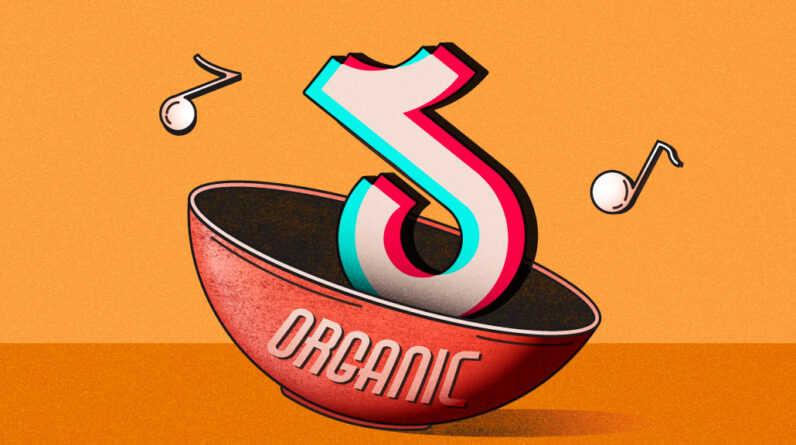 Media Buying Briefing: How Influencer Agencies Adapt to TikTok's SEO Incentives