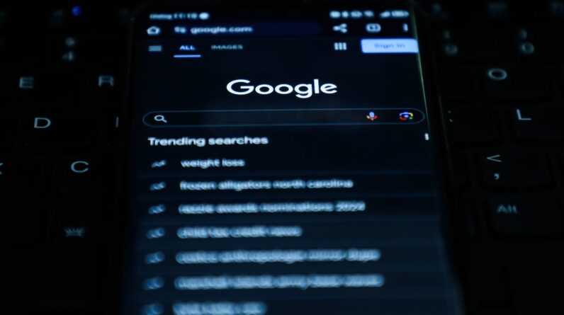 Leaked Google documents about its search engine data anger Internet pundits