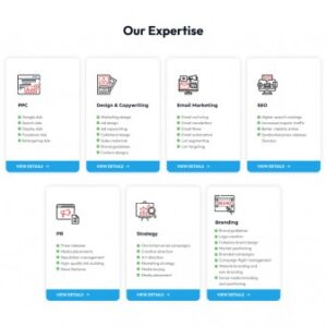 Chicago Website SEO for Local and Global Visibility: Marketing Agency Update