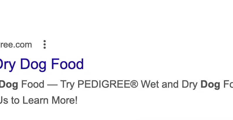 Everything you need to know