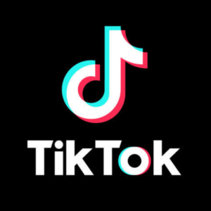 TikTok highlights its value to brands and the search experience