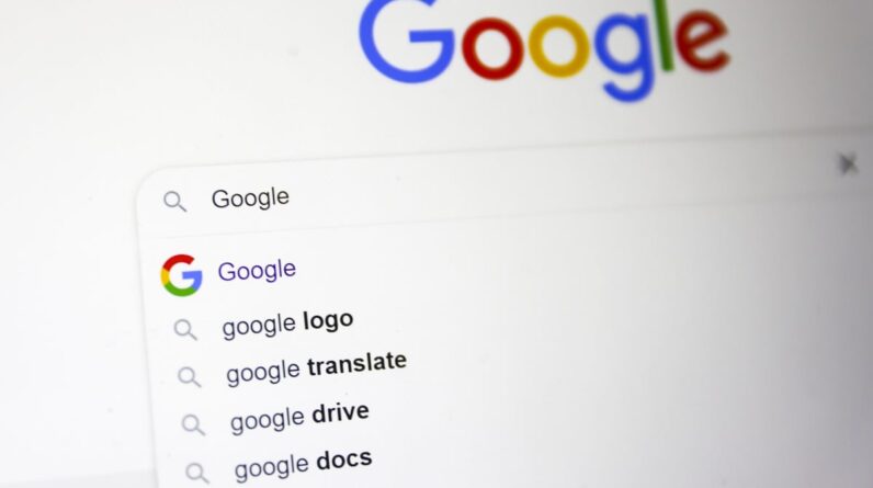 Google Search algorithm documents leaked.  Here's what the experts say.