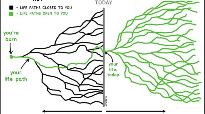 How to decide which one is right for you