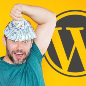 A new way to monetize WordPress