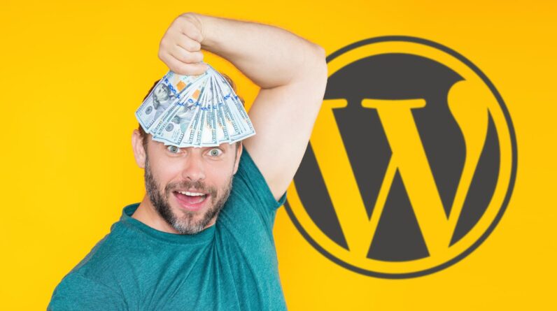 A new way to monetize WordPress