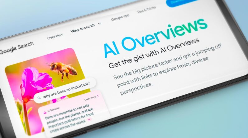 Google AI Overviews