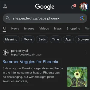Perplexity pages featured in Google AI Overviews, featured snippets